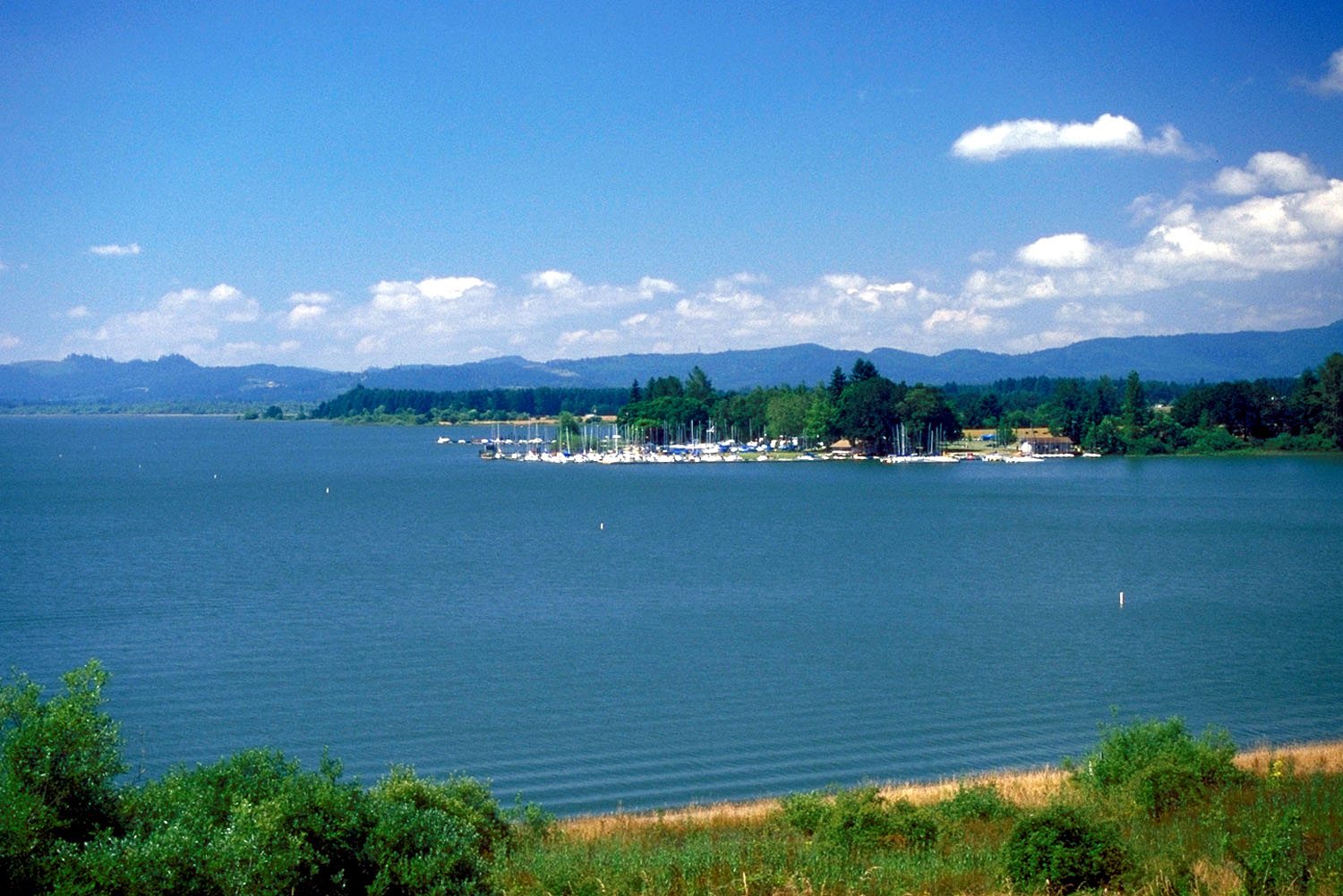 Fern Ridge Lake near Veneta, Oregon, with moored boats and the Coast Range beyond